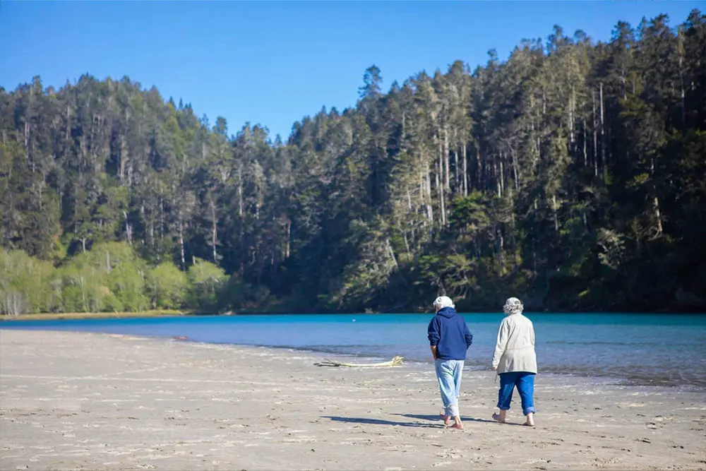 Two elderly individuals walk along a sandy beach by a calm, blue river, surrounded by lush greenery and trees.
