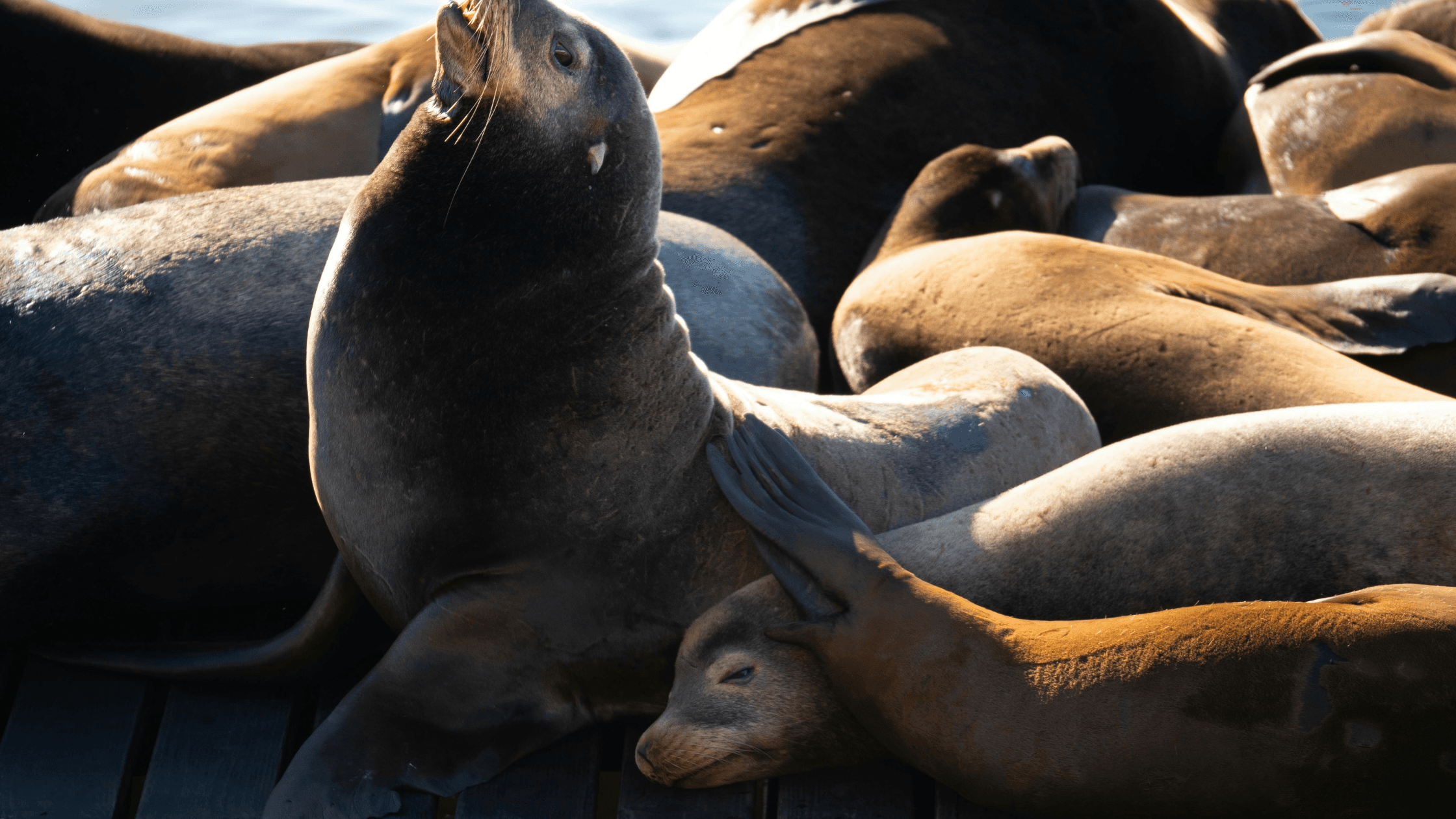 Boutique Hotels in Anderson Valley Boutique Hotels in Anderson Valley